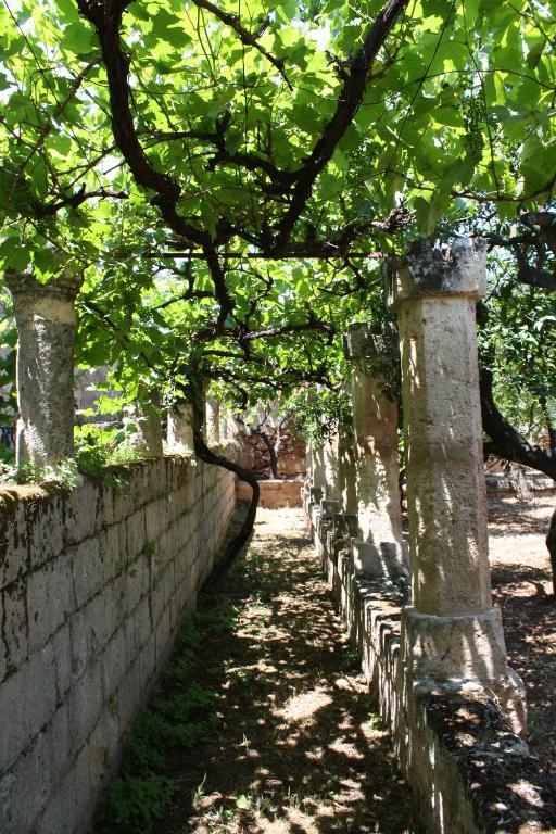 Masseria Maccarone Фазано Екстериор снимка
