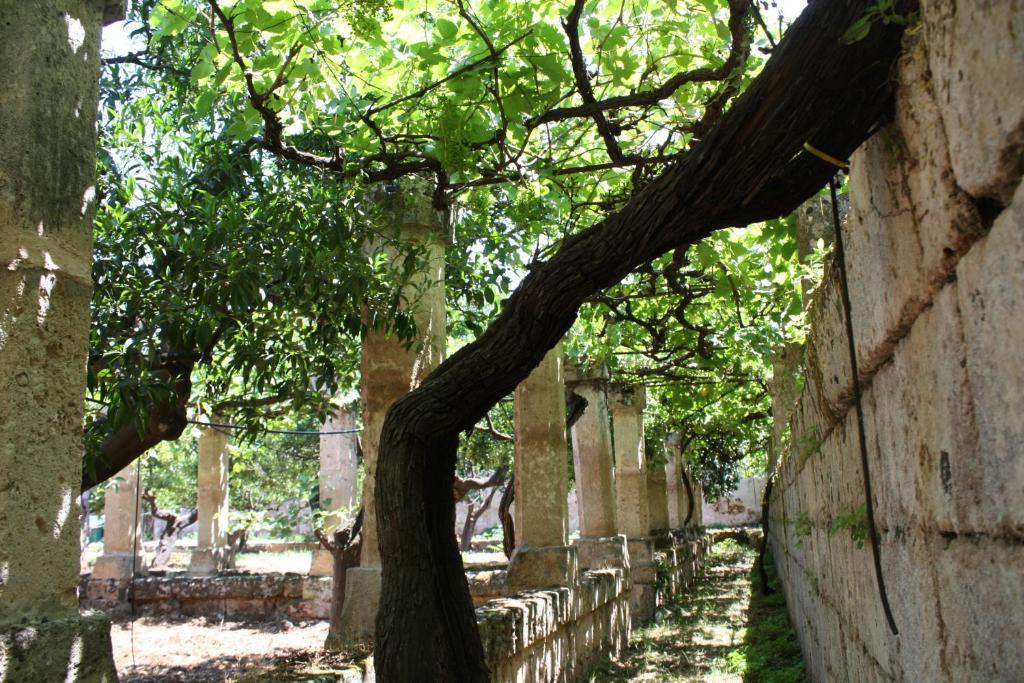 Masseria Maccarone Фазано Екстериор снимка