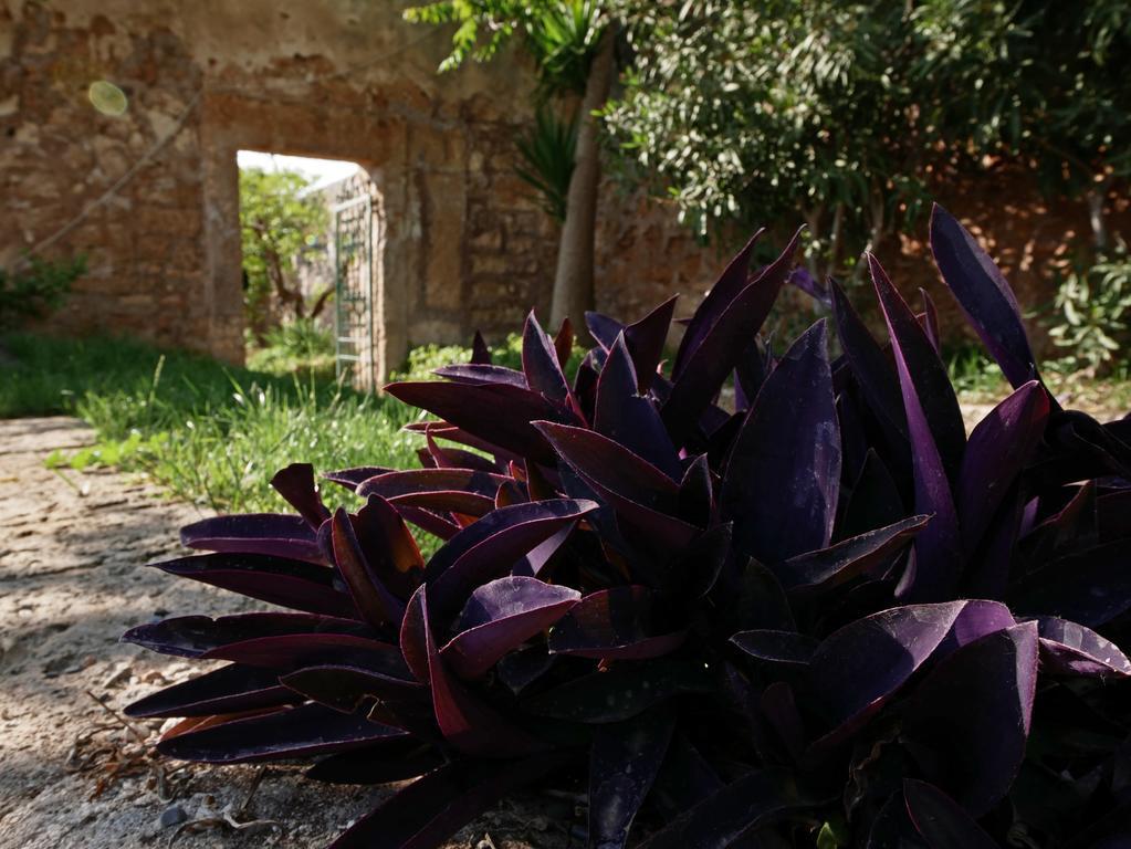 Masseria Maccarone Фазано Екстериор снимка